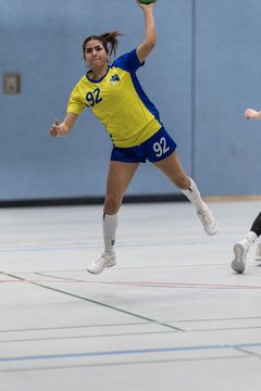 Bild 187 - F HSG Pinnau2 - Rellinger TV2 : Ergebnis: 27:20